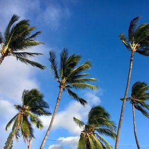 Meet your Posher, Camden